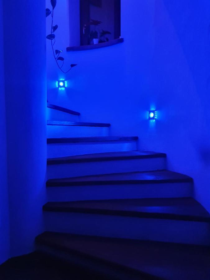 Villa La Tour นุส ภายนอก รูปภาพ